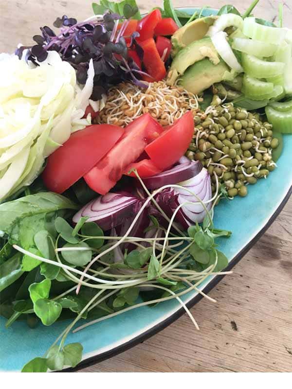 salat med mungbonner, bukkehorn, rod reddik og bokhvetespirer salat med mungbonner, bukkehorn, rod reddik og bokhvetespirer