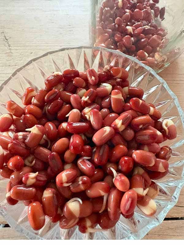 adzuki spirer adzuki spirer