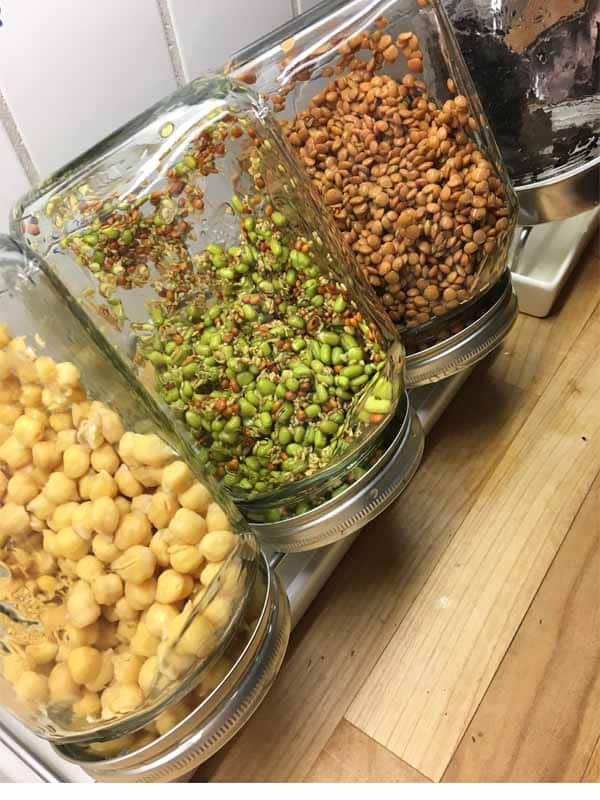 spire kikerter i glass spire kikerter i glass