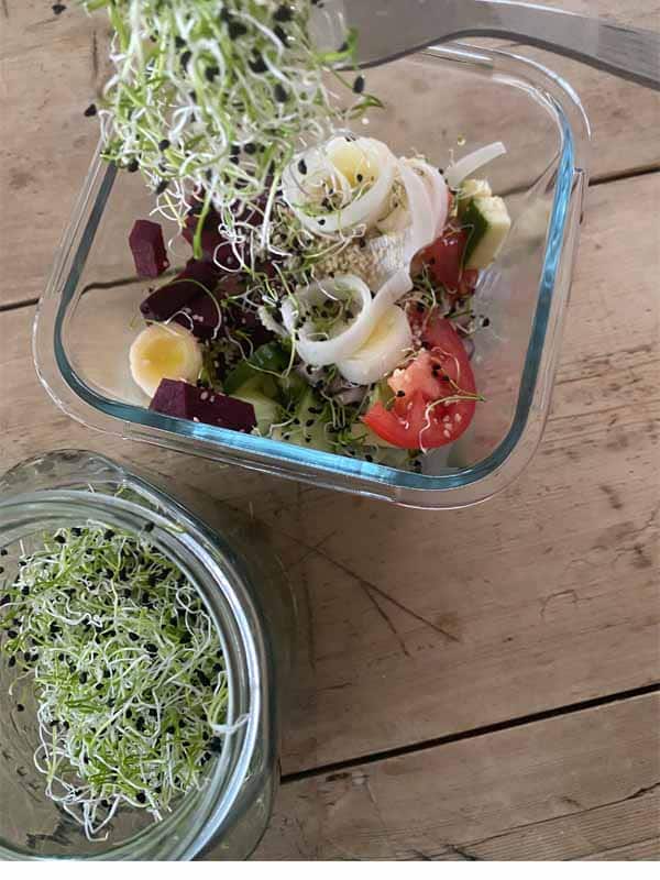 spire purre spire purre