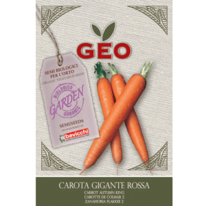 Gulrot Autumn King, økol