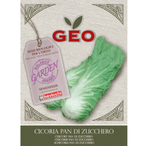Chicory ‘pan di Zucchero’ øko frø 6 g