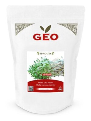 Alfalfa spirefrø økologisk 500 g