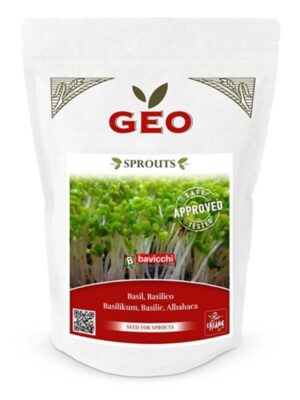 Basilikum spirefrø økologisk 250 g