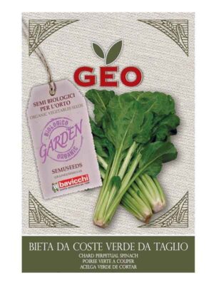 Bladbete ‘Evigvarende spinat’ frø økologisk 10 g