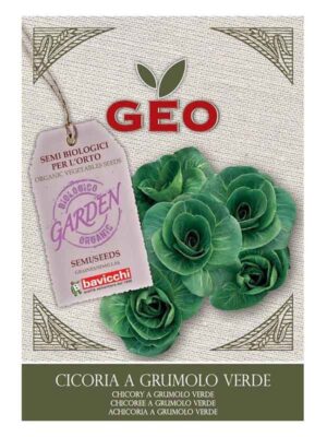 Chicory ‘Grumolo Verde’, økologiske frø 5 g