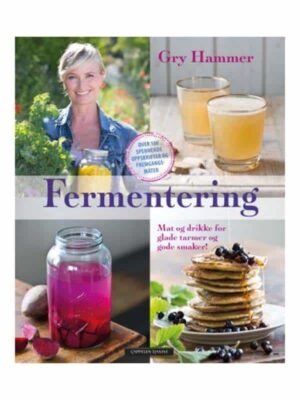 Fermentering bok av Gry Hammer