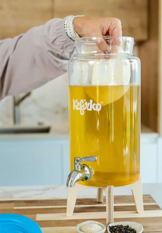lage kombucha 2 lage kombucha med scooby