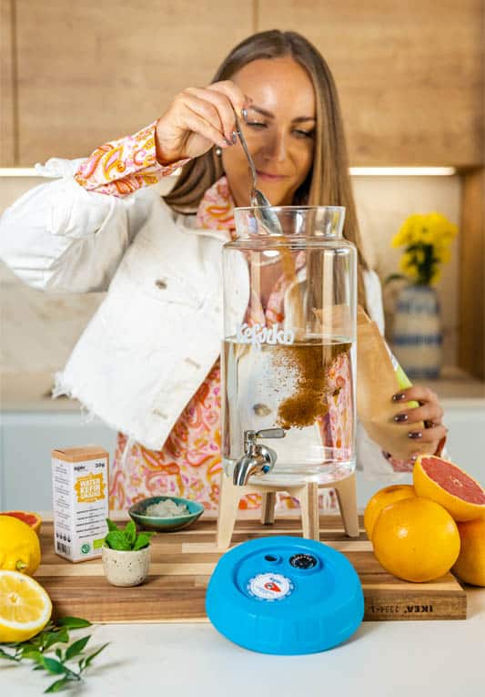 lage kombucha 3 lage kombucha med te i loesvekt