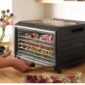 excalibur 6 tray performance digital dehydrator image nett