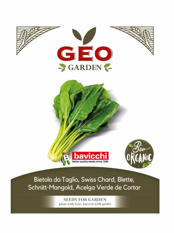 mangold gronn okologike fro