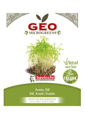 Dill økologisk spirefrø microgrønt 15 g