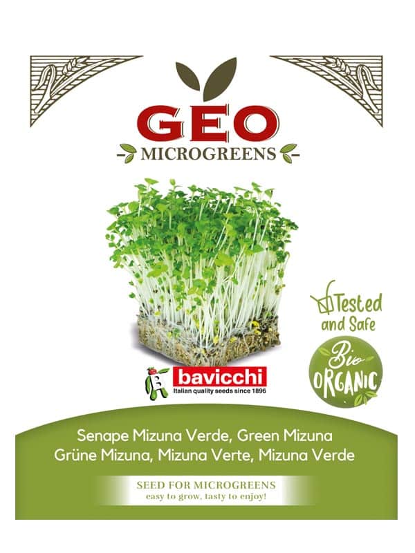 gronn mizuna okologisk microgreens 15 g