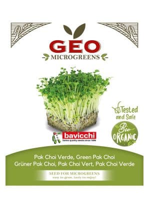 Pak Choi grønn spirefrø økologisk 15 g