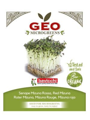Rød Mizuna økologisk spirefrø 15 g