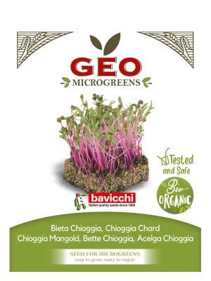 Polka rødbete Chioggia økologisk spirefrø 15 g