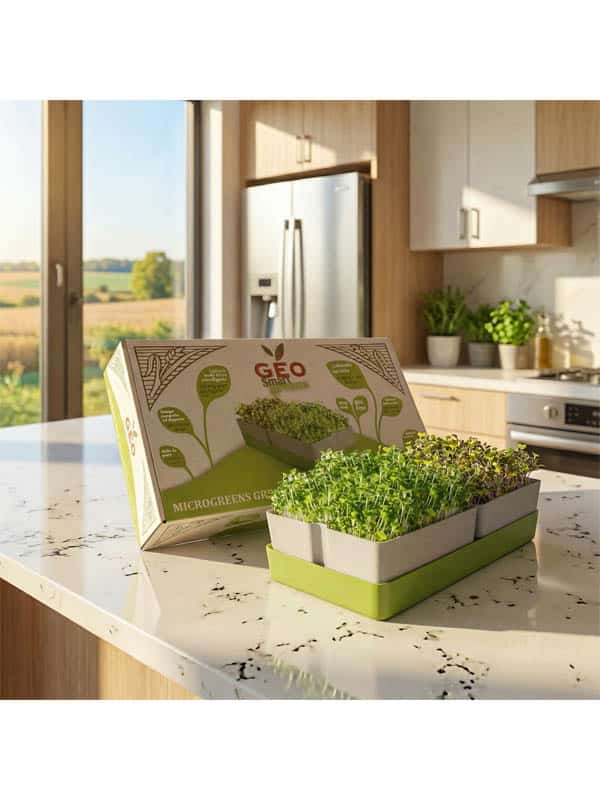 microgreens grow kit image photo microgreens grow kit image photo