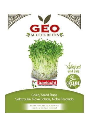 Ruccola Salad Rape spirefrø  50 g
