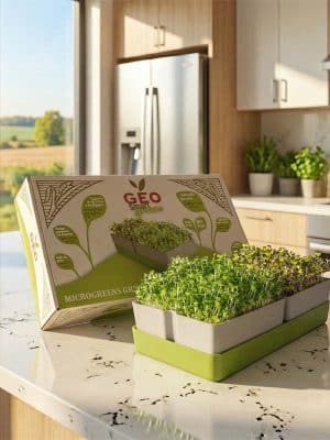 Spirekasse kit til mikrogreens spiredyrking